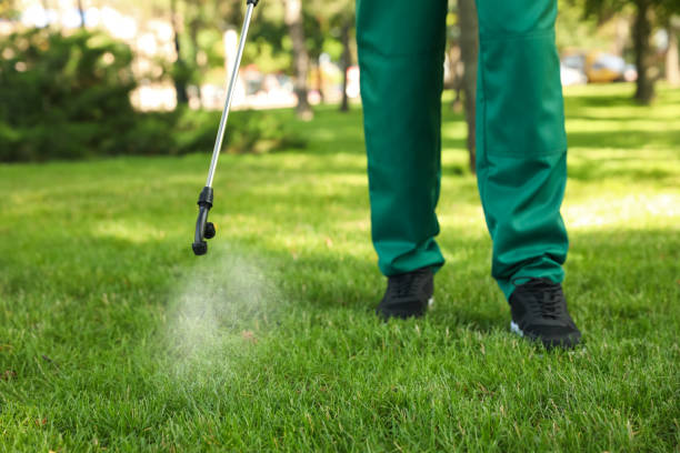 Wasp Removal Services in Pinebluff, NC